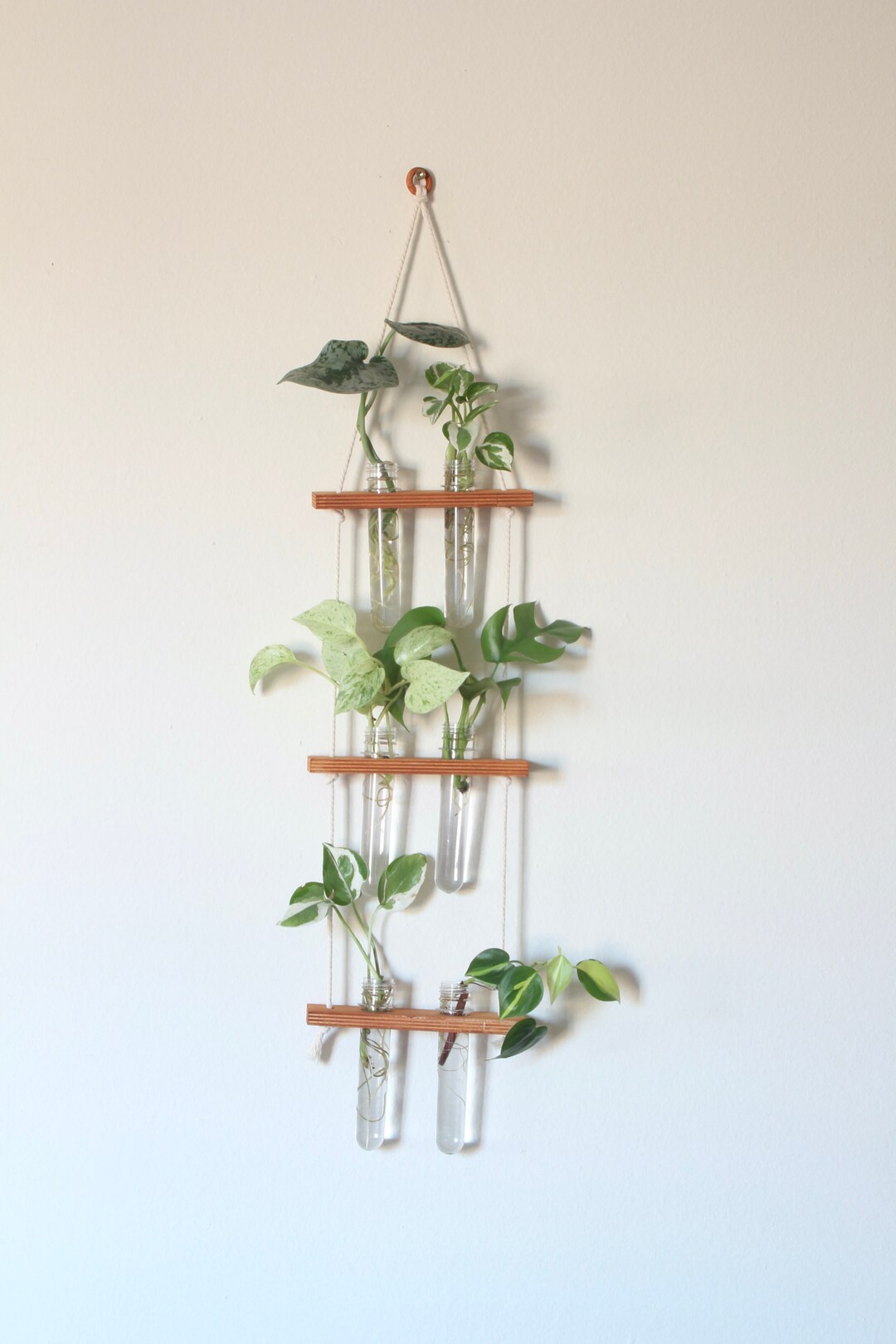 Hanging Propagation Station 6 Vials for Display Etsy