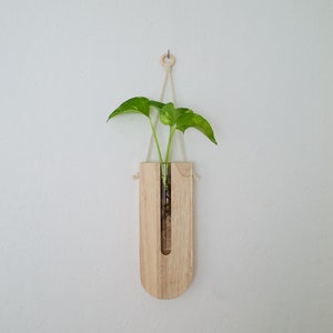 Wall Propagation Station Planter