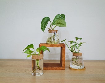 Plant Propagation Station - Modern Propagation Vase