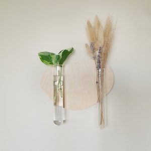 Wall Propagation Station Planter - Organic Shape