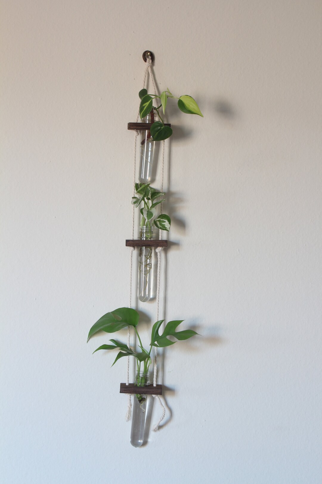Hanging Propagation Station 3 Vials for Display Etsy
