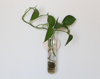 Magnetic Wall Plant Propagation Station – Modern Indoor Planter for Rooting Cuttings – Floating Propagation Holder