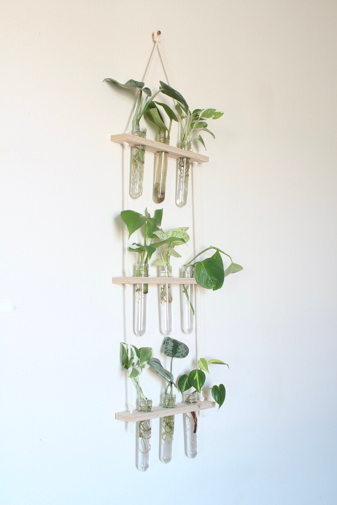 Hanging Propagation Station 9 Vials for Display Etsy