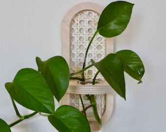 Rattan Wall Propagation Station Planter