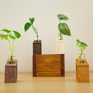 Angled Wooden Plant Propagation Station | Modern Plant Stand for Indoor Propagation | Glass Rooting Vase for Plant Cuttings | Home Decor