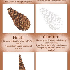 Botanical British Leaf & Seed Drawing Tutorial | 6 Worksheets | Digital Download