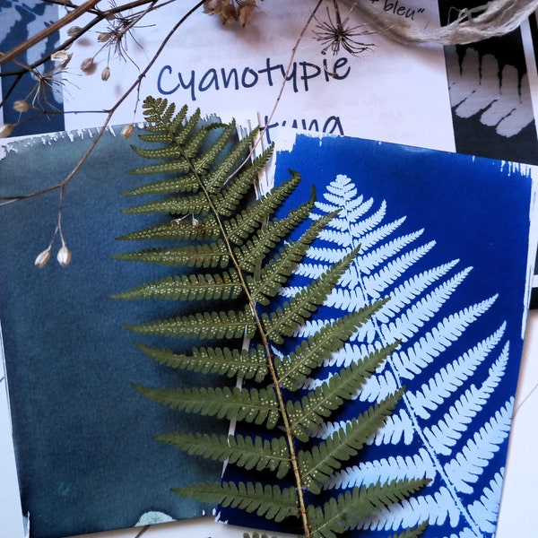 DIY-Set Cyanotypie "M plus" Solarpapier lichtempfindliches Papier Zauberpapier Kreativset Kreativwerkstatt  Muttertag