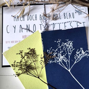 DIY-Set "M-Plus" Cyanotypie  Solardruck Sonnendruck Zauberpapier Kreativset