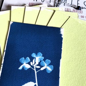 DIY-Set Cyanotypie (DIN A5) "Unterricht" Solardruck Sonnendruck Zauberpapier Kunstset