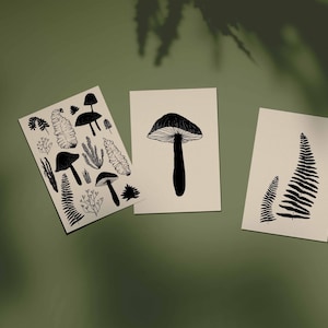 Set di cartoline botaniche