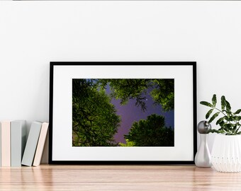 Magic Mushroom I Print on Lustre Photo Paper - Etsy