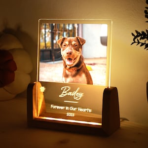 May include: A lit memorial plaque featuring a photograph of a dog named Bailey. The wooden base has the inscription "Forever In Our Hearts 2023". The dog is brown and white, with a happy expression.