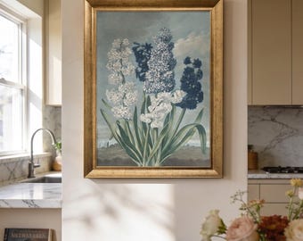 Hyacinths Botanical Wall Art by Sydenham Teak Edwards, Vintage Floral Print, Temple of Flora Canvas, Cottagecore Decor, Blue Floral Decor