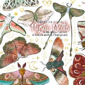 Mystische Motten Clipart - Handgezeichnete PNG Aquarell Insekt Aufkleber - Grün Rosa Rot Braun & Gold - Niedliche Fantasy Halloween Illustrationen