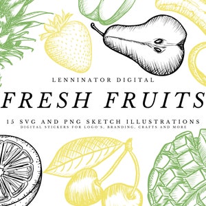 Fruit Salad Clipart Bundle, Hand Drawn SVG PNG Fruit Sketch Illustrations, Pen and Ink Digital Fresh Fruit Sticker Graphics for DIY Crafts
