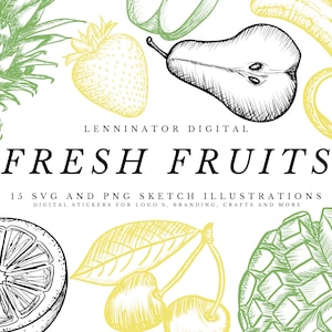 Fruit Salad Clipart Bundle, Hand Drawn SVG PNG Fruit Sketch Illustrations, Pen and Ink Digital Fresh Fruit Sticker Graphics for DIY Crafts