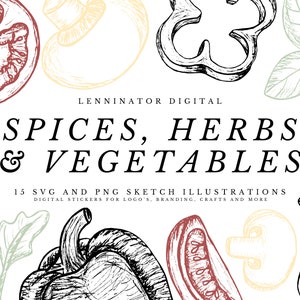 Hand Drawn Spices Herbs and Vegetables Clipart - Printable SVG PNG Sketch Illustrations - Digital Healthy Food Planner Stickers Download