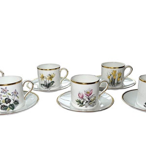 Vintage Royal Worcester Demitasse Cup & Saucer Set of 6