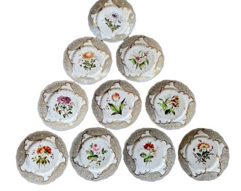 Antique Coalport Botanical Dinner Plates X10 Ca. 1830's - Etsy