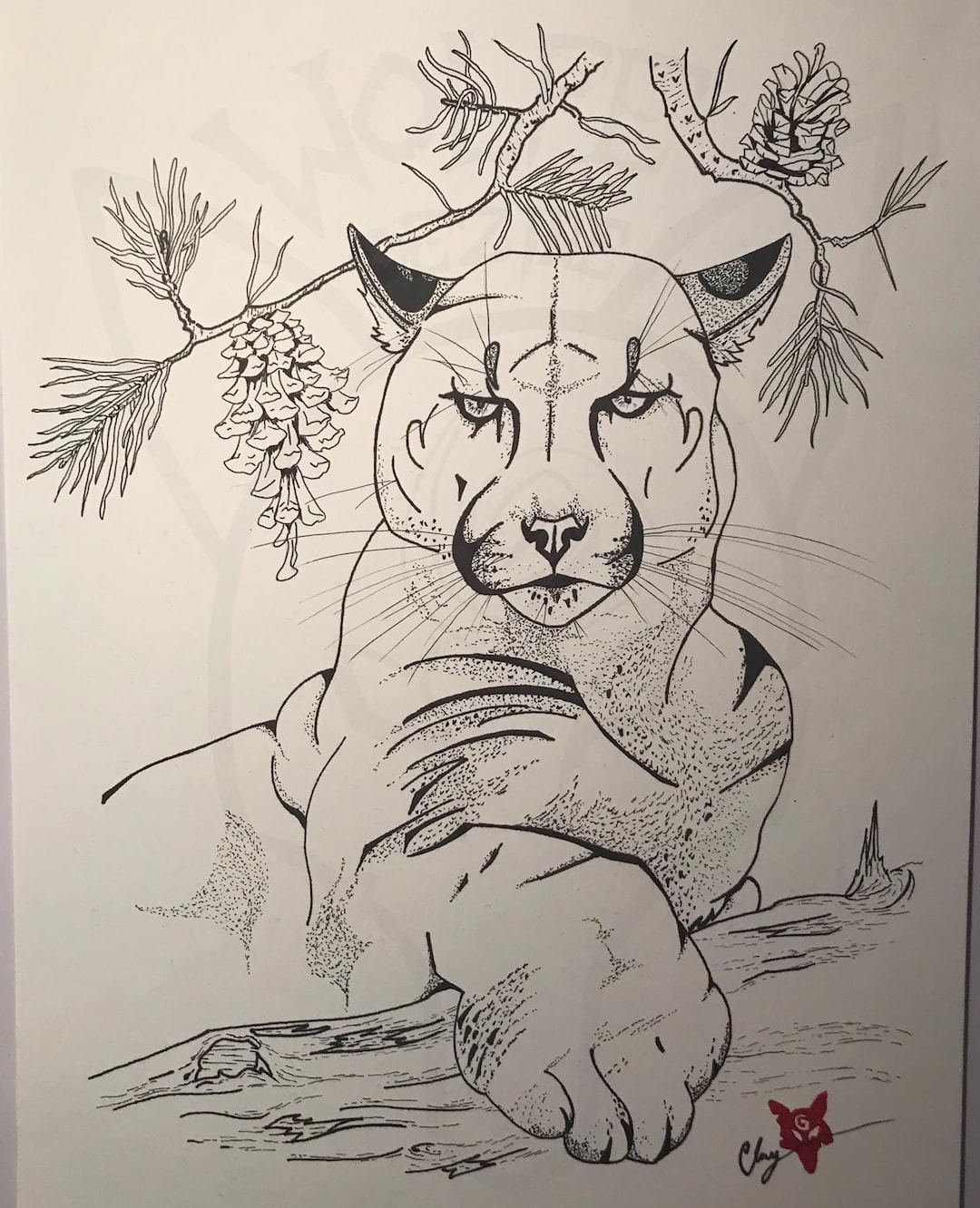 Mountain Lion - Etsy