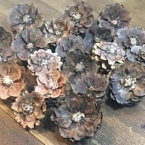 20 Spruce Pine Cone Flowers Cut Pinecone Flowers Seasonal Decor Craft Supplies