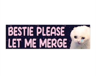 Bestie s'il vous plaît laissez-moi fusionner, autocollant pour pare-chocs drôle de chat, meme sarcastique, vinyle imperméable