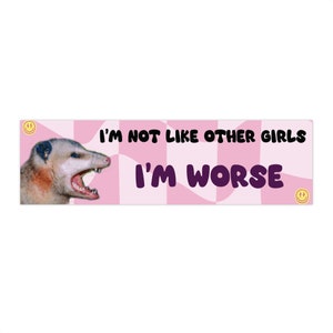 I'm Not Like Other Girls I'm Worse Bumper Sticker, Funny Possum Car Sticker, Gen Z Meme Humor, Waterproof Vinyl Car Decal