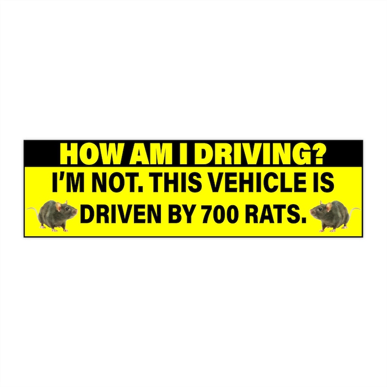 May include: A yellow and black bumper sticker with the text 'HOW AM I DRIVING? I'M NOT. THIS VEHICLE IS DRIVEN BY 700 RATS.'  Two black rats are pictured on either side of the text.