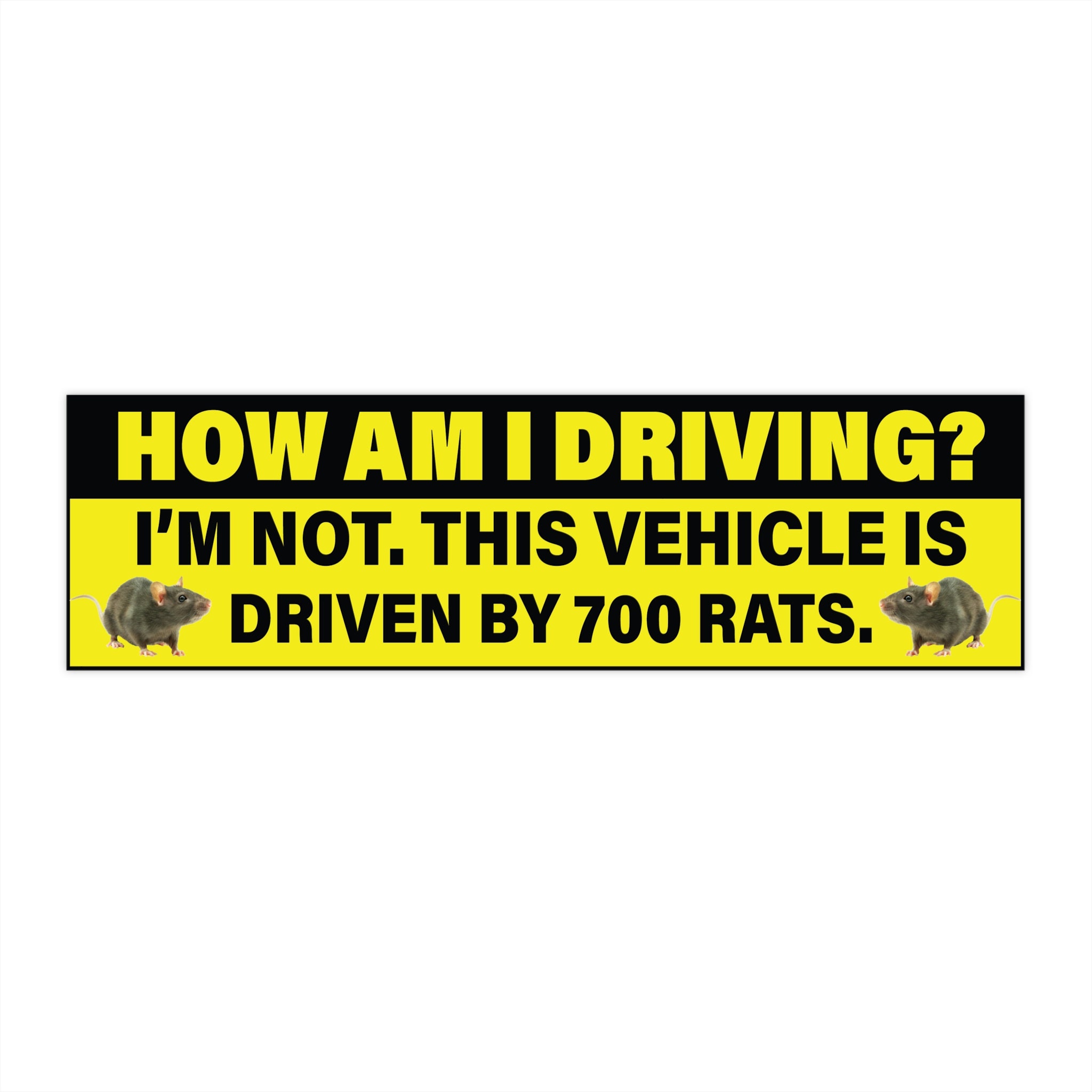 How Am I Driving? Bumper Sticker, 700 Rats Funny Meme, Waterproof Vinyl Car Decal