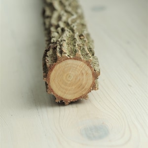 Può includere: Primo piano di un tronco di legno naturale con una texture di corteccia ruvida e una sezione trasversale liscia di colore marrone chiaro. Il tronco è appoggiato su una superficie di legno bianco.
