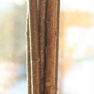 10 pcs hazelnut tree sticks (1,5-2 cm diameter) branches home decoration craft natural decor Eco 58 cm /23 inches long.