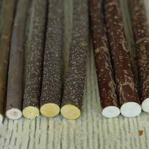 Mix of  BUCKTHORN GLOSSY, HAZELNUT tree, and Willow tree sticks branches home decoration 58 cm /23 inches long. 9 pcs wand material