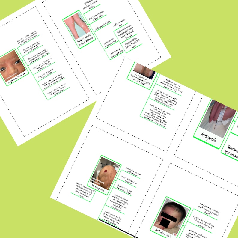 Neonatal Dermatology Flashcards NICU Notes, Nursing, Medical Notes, NNP, Digital Etsy