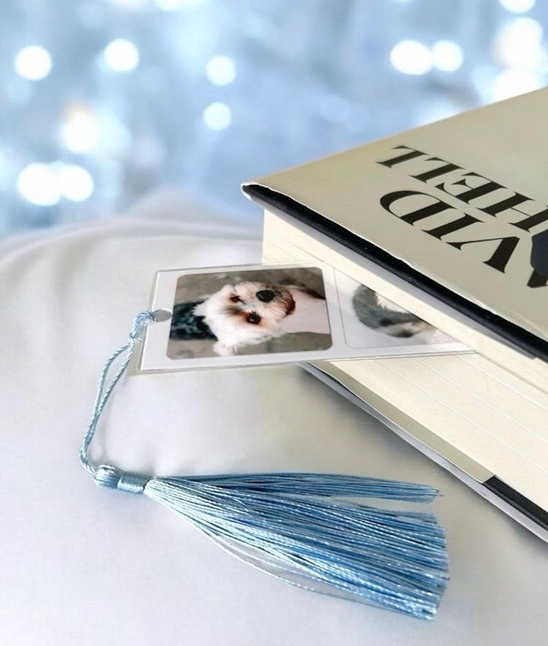 Op de afbeelding: Een doorzichtige boekenlegger met een foto van een hond zit in een boek. De boekenlegger heeft een lichtblauwe kwast. Het boek heeft een zwarte rug en de titel "VID HELL" is zichtbaar op de kaft.