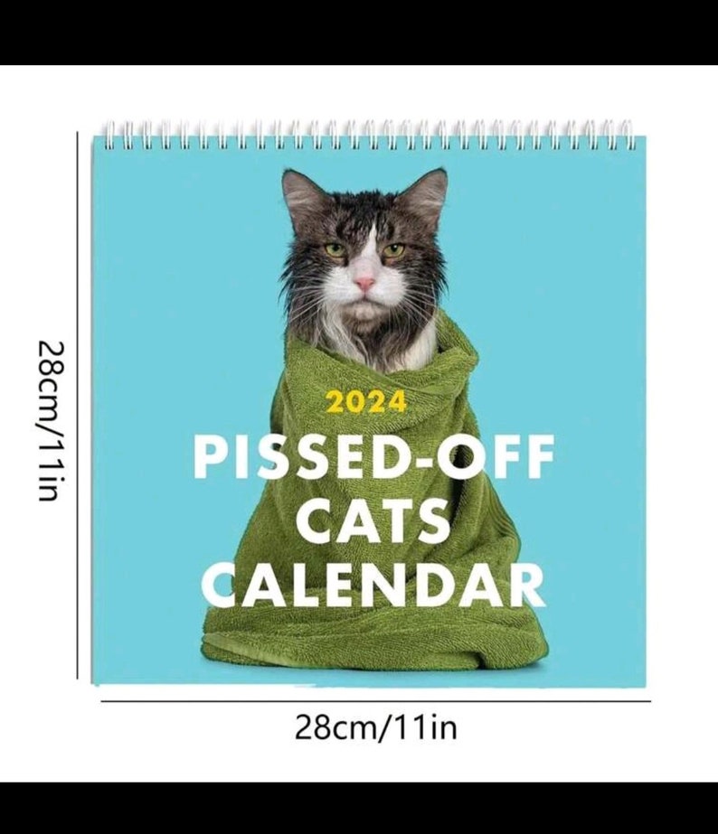 Humorous Pissed off Cats 2024 Calendar Cats With No Boundaries Etsy