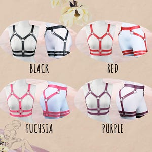 May include: Four different colored leather harnesses with adjustable straps and buckles. The harnesses are available in black, red, fuchsia, and purple.