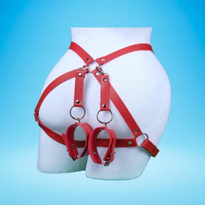 May include: Red leather restraint harness with attached wrist cuffs. The harness features adjustable straps and metal hardware. The cuffs are secured with buckles and rings. The background is a gradient of blue.