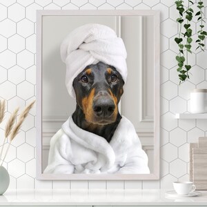 May include: A black and tan Doberman Pinscher dog wearing a white bathrobe and a white towel wrapped around its head. The dog is looking directly at the camera.