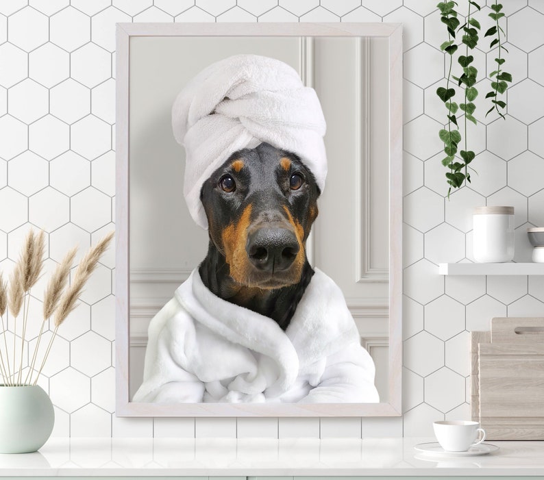 May include: A black and tan Doberman Pinscher dog wearing a white bathrobe and a white towel wrapped around its head. The dog is looking directly at the camera.