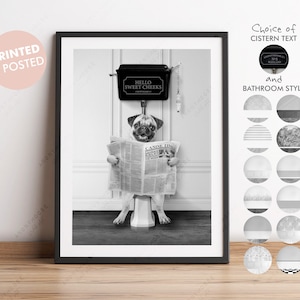 May include: Black and white photograph of a pug dog sitting on a toilet with a newspaper in its paws. The toilet cistern has a sign that reads "Hello Sweet Cheeks".