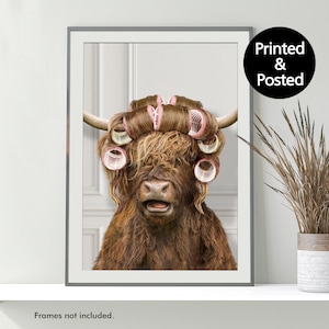 Highland Cow in Hair Curlers Print, Cow Bathing, Funny Bathroom Print, Animal in Toilet Art, Highland Cow in Rollers, Bath, Whimsy Animal