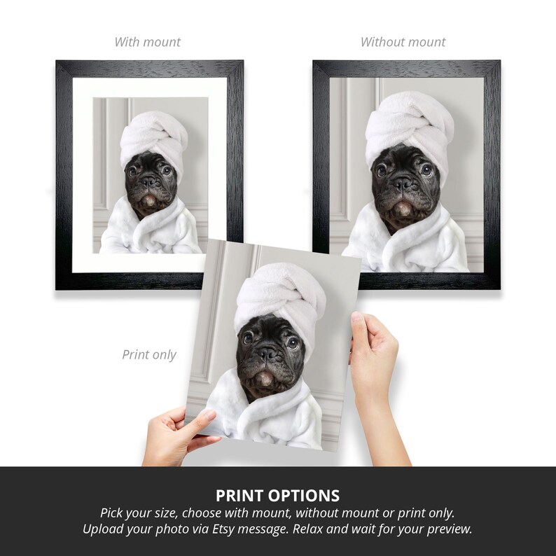 May include: A black and white French bulldog wearing a white bathrobe and a white towel on its head. The dog is looking at the camera. The image is a digital download for a personalized pet portrait.