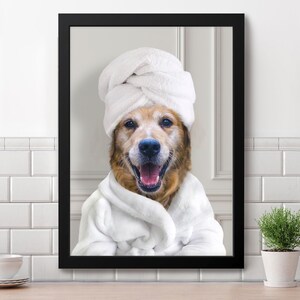 May include: A golden retriever dog wearing a white bathrobe and a white towel wrapped around its head. The dog is smiling and looking at the camera. The background is a white tiled wall.