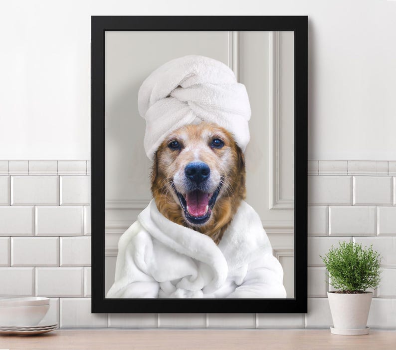 May include: A golden retriever dog wearing a white bathrobe and a white towel wrapped around its head. The dog is smiling and looking at the camera. The background is a white tiled wall.