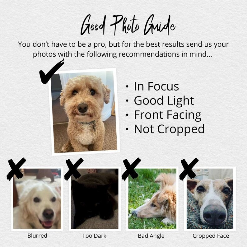 May include: A guide with tips for taking good photos of dogs. The guide shows a well-lit, in-focus photo of a dog with a checkmark next to it. The guide also shows four examples of bad photos, including a blurry photo, a dark photo, a photo taken from a bad angle, and a photo with a cropped face.