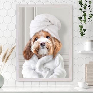 May include: A brown and white dog wearing a white bathrobe and a white towel on its head. The dog is looking directly at the camera.