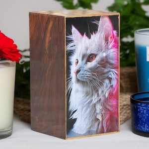 Könnte beinhalten: Eine Holzkiste mit einer weißen Katze mit rosafarbenen Akzenten auf der Vorderseite. Die Katze schaut nach links. Die Kiste steht auf einem Tisch mit einer Kerze und einer Vase mit roten Blumen.