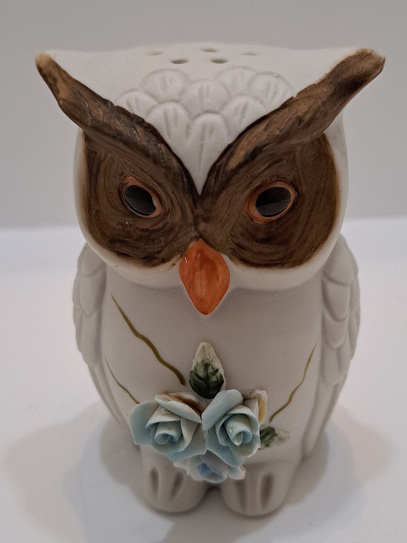 Vintage Owl Shaker Ceramic  Essential Oils diffuser