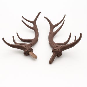 Antlers for cuckoo clocks (1 pair) / Cuckoo clock accessories / Cuckoo clock building