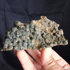 Mottramite from Santa Eulalia Mexico | Rare Collector Mineral | Dark Green Botryoidal Formation